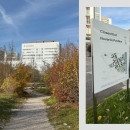 Explorando Basel e o novo Campus da Novartis: onde arquitetura icônica encontra o desafio de criar bem-estar real